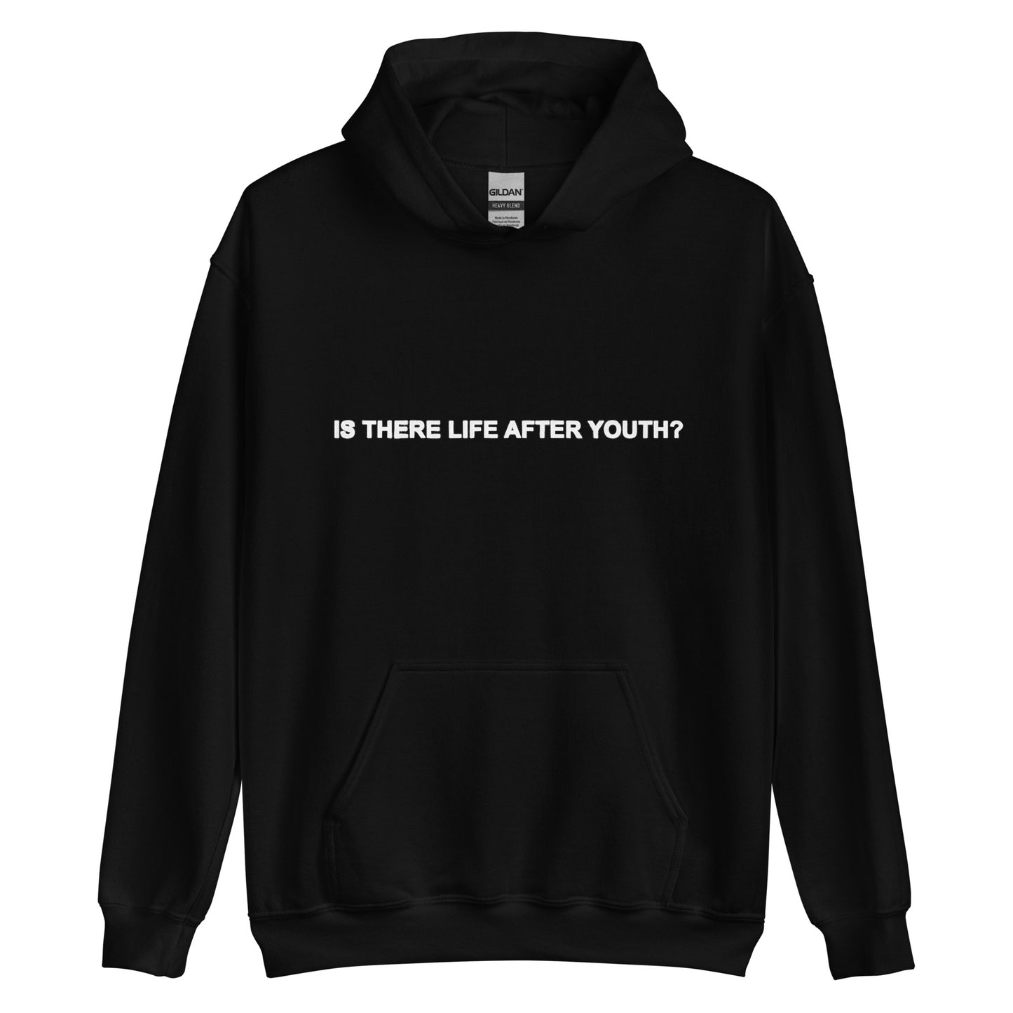 is there life after youth? hoodie